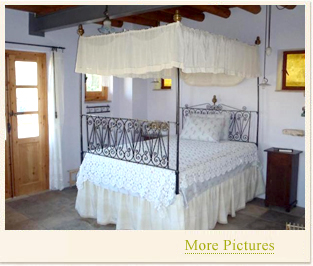 Picture Gallery